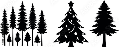 Forest of Christmas fir trees silhouette. Coniferous spruce panorama. Park of evergreen wood. Vector on white background