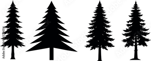 Forest of Christmas fir trees silhouette. Coniferous spruce panorama. Park of evergreen wood. Vector on white background