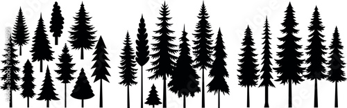 Majestic forest silhouette diverse trees nature scene