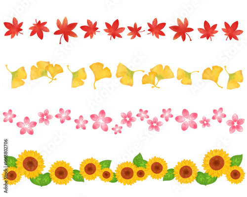 水彩風手描き花イラスト フレーム 飾り 紅葉、イチョウ、桃の花、向日葵