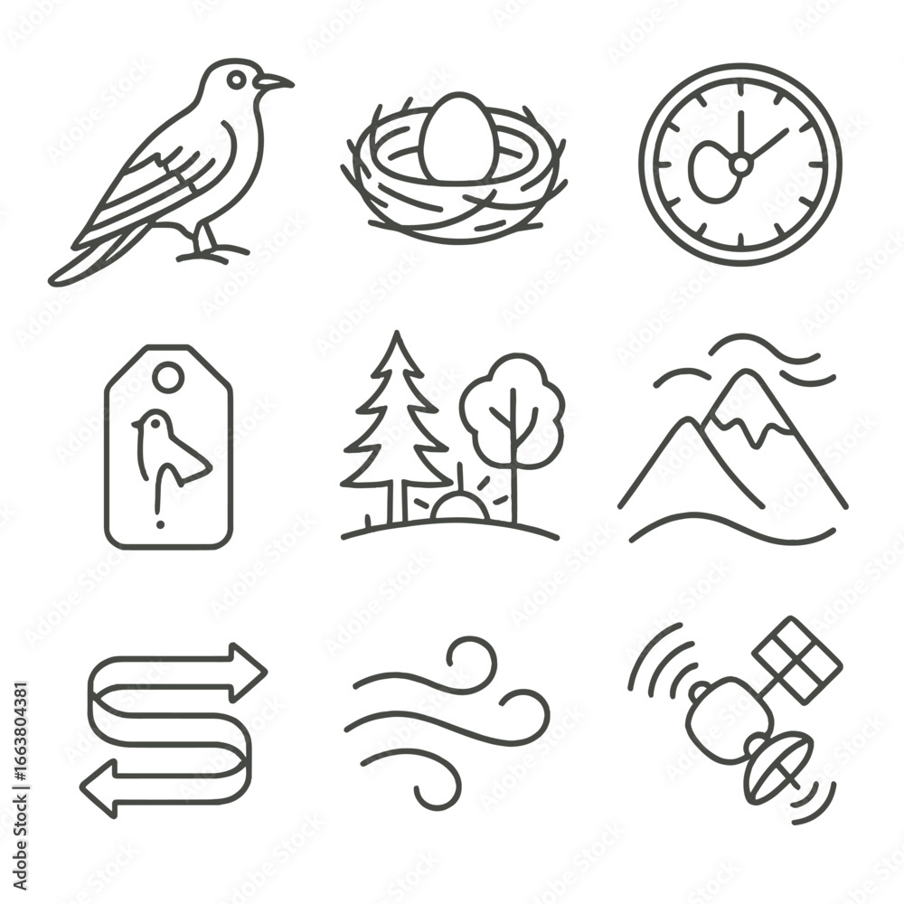 Fototapeta premium Migratory Birds Icons. Outline style icons of Migratory Birds: common cuckoo outline, host nest shell, egg timing clock, departure
