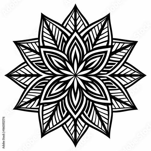 black and white abstract flower