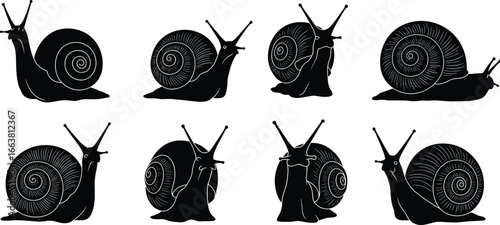 Snail silhouette vector, snail clipart set, crawling snail illustration, garden snail outline, mollusk shell graphic, black and white snail design