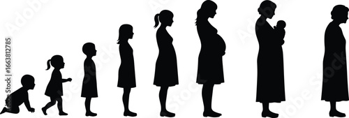 Woman life stages silhouette set from baby to child, teenager, adult, pregnancy, motherhood, and old age illustration timeline