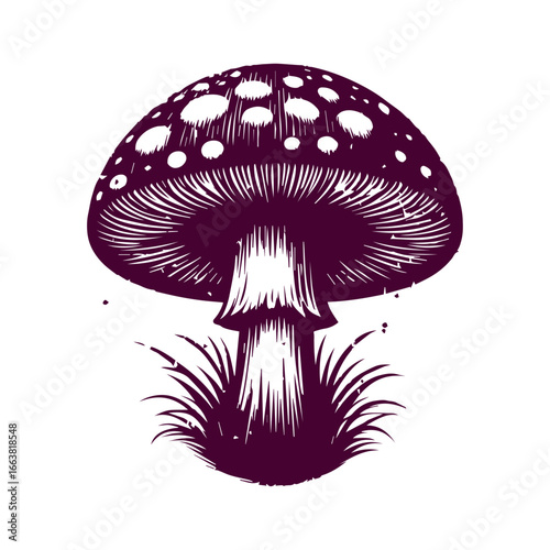 Stylized Illustration of a Mushroom