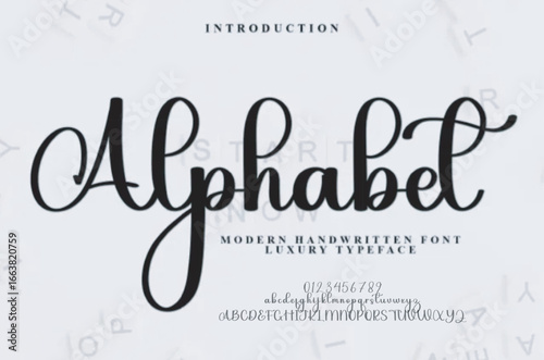 Alphabet Hand drawn vector alphabet. Modern monoline signature script font. Elegant Signature Font. Best Alphabet Beautiful Calligraphy Signature Font
