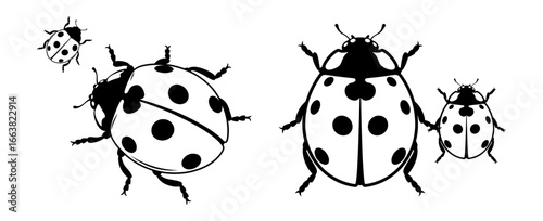 Vector art of two ladybugs with their young