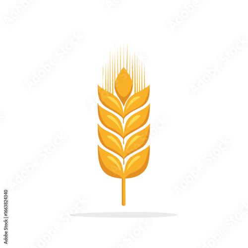 Stylized golden wheat ear design illustration on white background. Agriculture and harvest.