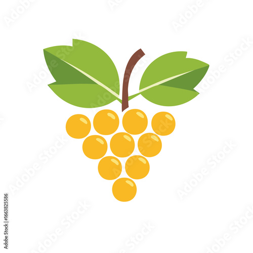 Isolated Grape Cluster Illustration with Green Leaves Vineyard Agriculture