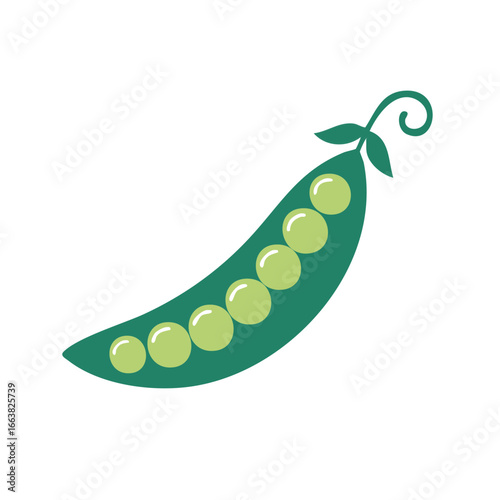 Green Pea Pod with Several Peas Inside Illustration for Food or Ingredient Concept