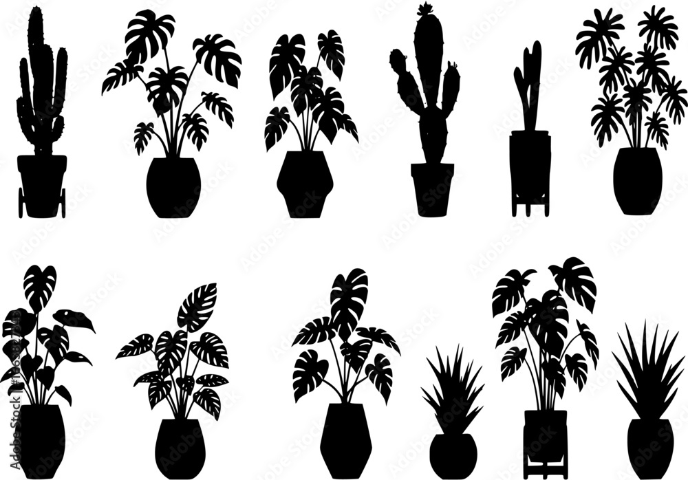 House plant in pot, decorative silhouette set. Exotic houseplants flowerpot for interior. Botanical house indoor blooming plants, flower, cactus, monstera, aloe potted ceramic. Isolated flat vector