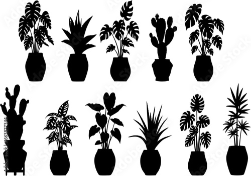 House plant in pot, decorative silhouette set. Exotic houseplants flowerpot for interior. Botanical house indoor blooming plants, flower, cactus, monstera, aloe potted ceramic. Isolated flat vector