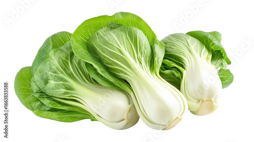 Bok Choy on Transparent Background Studio Shot