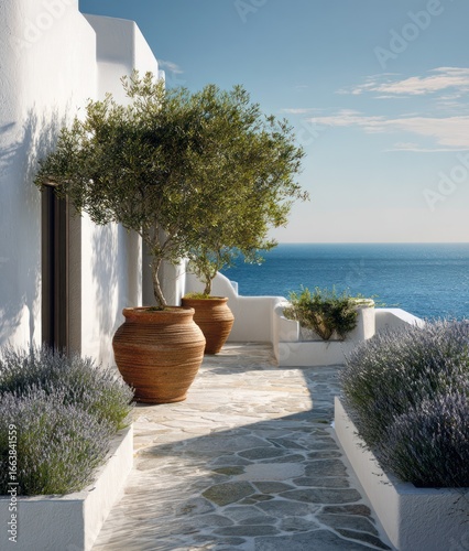 Whitewashed house patio with olive trees and lavender. Ocean view