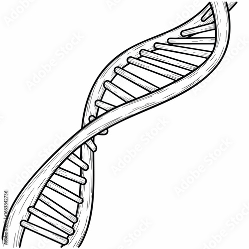 Detailed black and white line art illustration of a DNA double helix, representing the fundamental structure of life