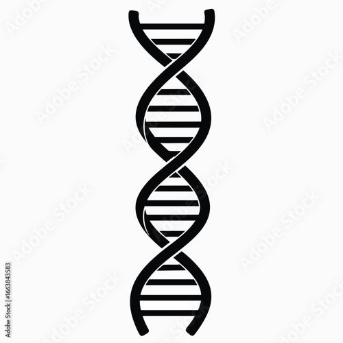 Simplified illustration of a DNA double helix. A black and white image, emphasizing the structure and potential applications of biotechnology and research
