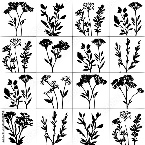 Botanical vector illustration of floral silhouette elements for graphic design and decoration use cases