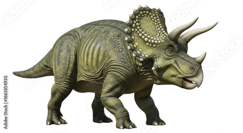 Tableau sur toile Isolated Triceratops