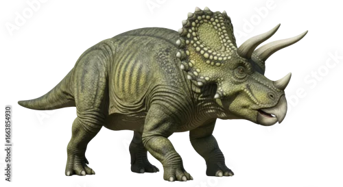 Fototapeta na wymiar Isolated Triceratops