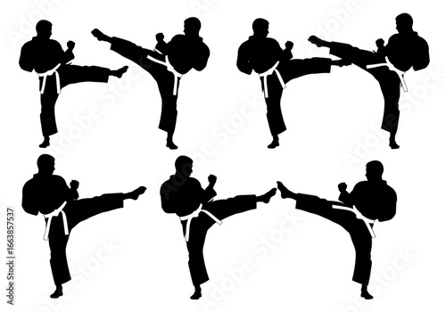 Martial Arts Silhouette Demonstrating Dynamic Kicking Techniques in Combat Training