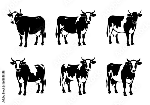 Six Black and White Holstein Friesian Dairy Cows Standing in a Row Illustrating Different Poses and Body Types for Livestock and Agriculture Themes