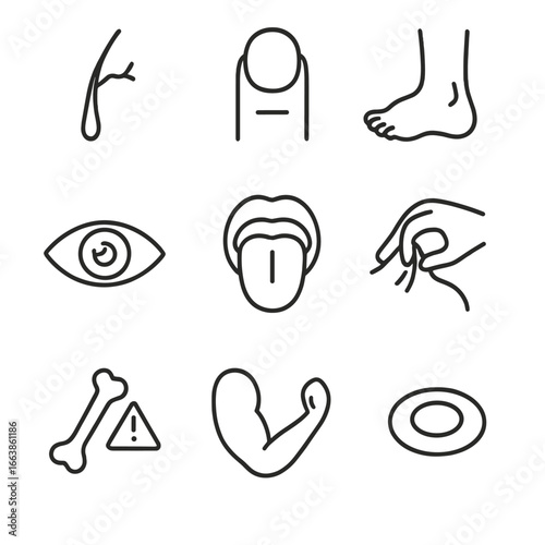 Clinical Sign Icons. Line style icons of Clinical Assessment Signs: brittle hair strand, spoon nail icon, edema ankle, pale