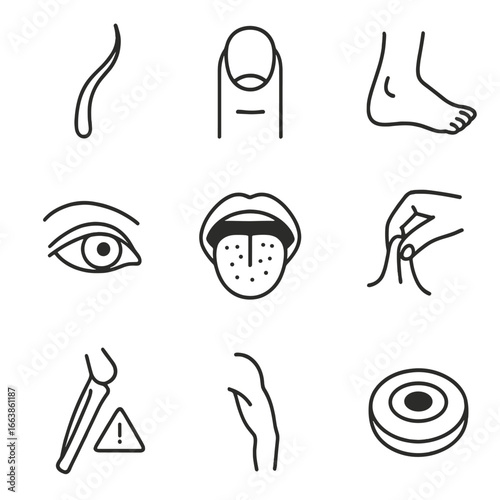 Clinical Sign Icons. Line style icons of Clinical Assessment Signs: brittle hair strand, spoon nail icon, edema ankle, pale