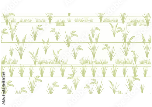 Green agricultural fields pattern on white background for farm design and copy space