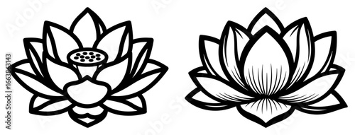 Lotus flower vector illustration