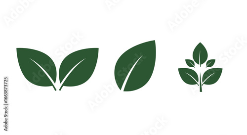 Three stylized green leaf icons representing growth and nature