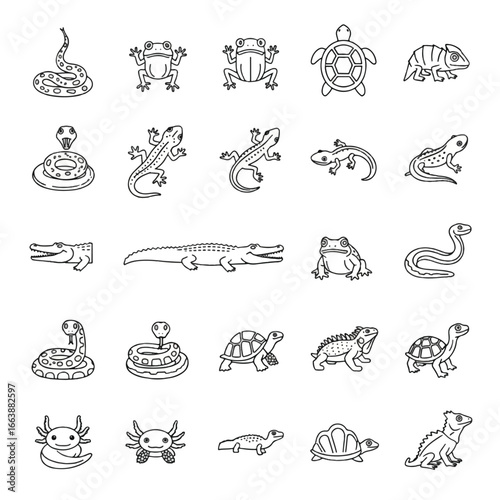 A collection of outlined illustrations featuring various reptiles and amphibians, including snakes, frogs, turtles, lizards, and crocodiles.