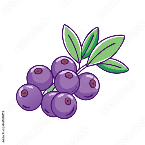 Illustration of a cluster of blueberries with green leaves and purple outline
