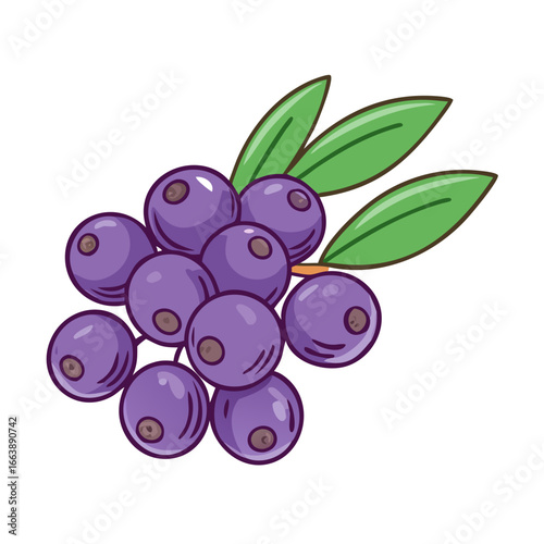 Cute Cartoon Cluster of Purple Berries with Green Leaves Illustration