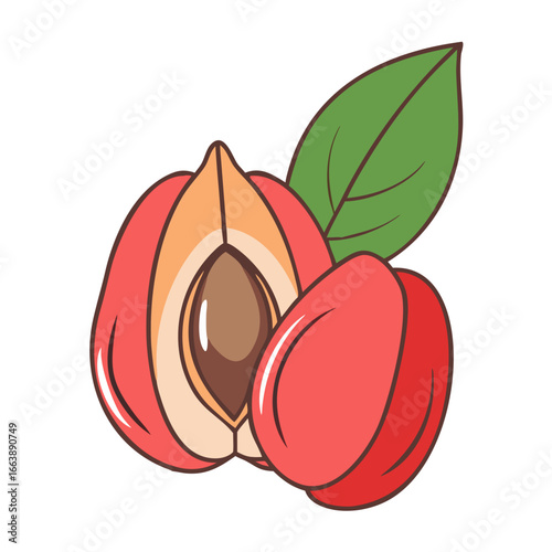 A vibrant and charming illustration of two peaches with a leaf