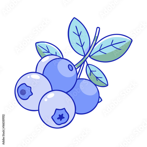 Illustration of blueberries on a stem, a delicious and healthy snack