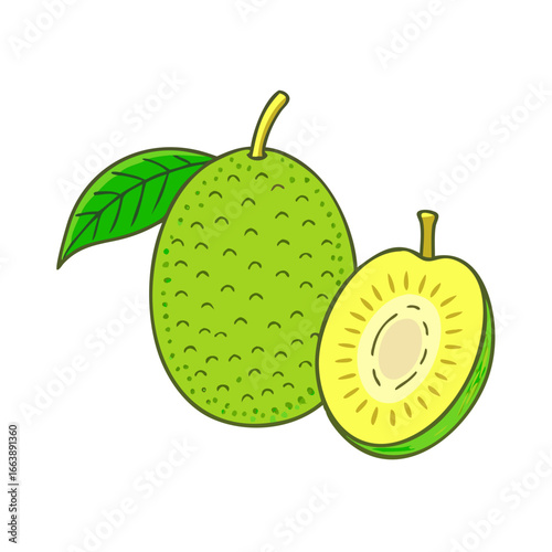 Illustrated whole and halved breadfruit with green leaf on white background