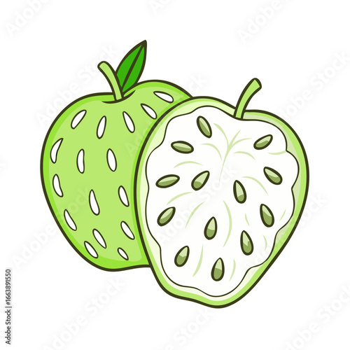 Illustration of a whole soursop and a cut soursop with green colors