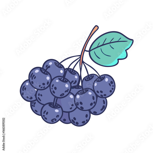Delightful illustration of a cluster of blueberries with a single vibrant leaf