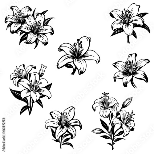 Flor Lily