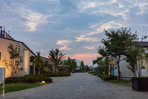 日本の岡山県岡山市の早朝の住宅街の美しい風景
