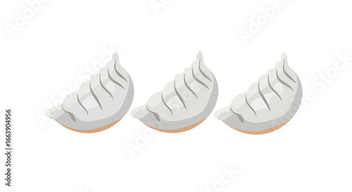 Delicious Dumplings: A Trio of Culinary Delights Represented in a Clean and Appetizing Visual Style