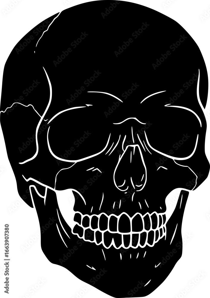 Fototapeta premium Skull Eps Vector, Silhouette, Logo, Skull Eps Vector Cut Files for Cricut Design, Skull Digital Commercial Clipart