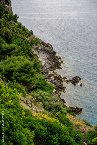 Panoramic view of the coastline near Maratea, in the Basilicata region of Italy. The scene captures a dramatic cliff, dense green pine forest, and the calm Tyrrhenian Sea