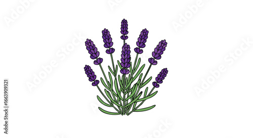 Delicate Lavender Illustration Showcasing Botanical Freshness and Minimalist Aesthetic in a Pure White Background Ideal for Design Projects