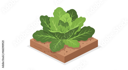 Isometric depiction of a flourishing green leafy plant in brown earth, suggesting concepts of organic farming and sustainable cultivation practices