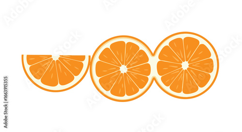 Vector Illustration of Sliced Oranges Isolated on White Background Displaying Vibrant Citrus Fruit Arrangement for a Fresh and Healthy Concept