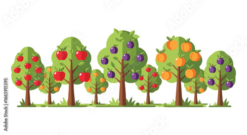 Flat Design Orchard with Diverse Fruit Trees in a Row, Displaying Apples, Plums, and Oranges Against a Clean White Background