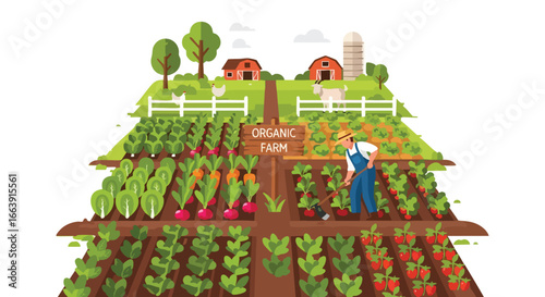 Vibrant vector illustration showcasing a thriving organic farm with a diverse range of crops and agricultural structures under clear skies