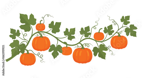 Decorative pumpkins and foliage illustration for festive Autumn occasions, ideal for Thanksgiving backgrounds, invitation elements and seasonal