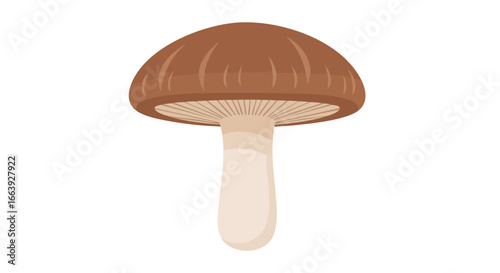 Delicate shiitake mushroom illustration showcasing its distinct cap and stem, perfect for culinary projects or educational purposes highlighting